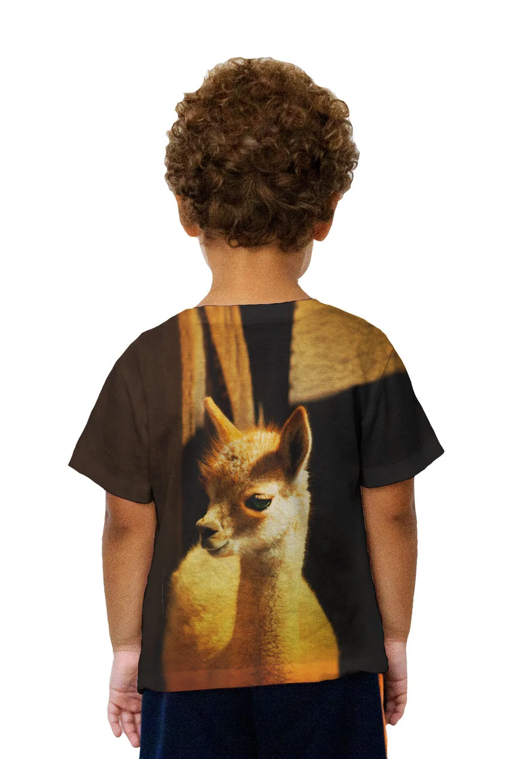 Kids Cute Baby Llama
